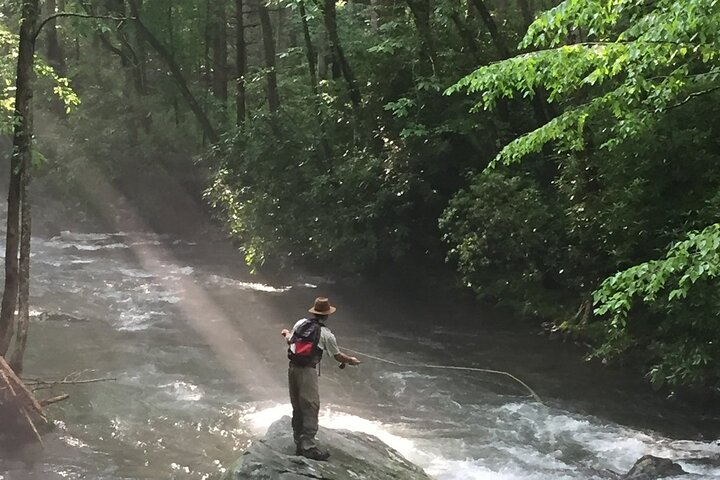 Smoky Mountains National Park Half Day Fly Fishing - Photo 1 of 3